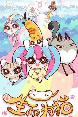 罗源网站seo优化